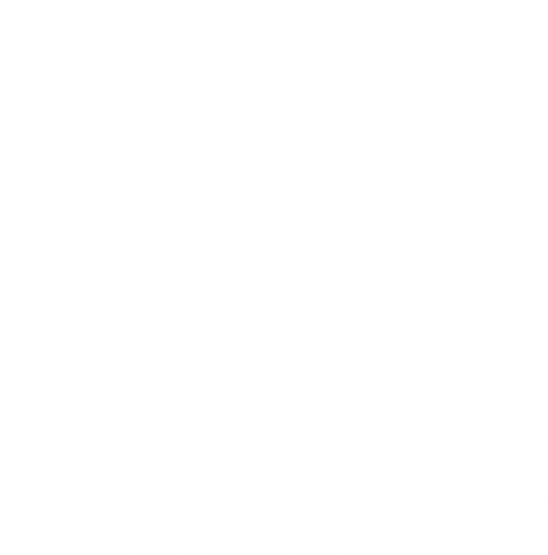 Bodacious Blinds logo